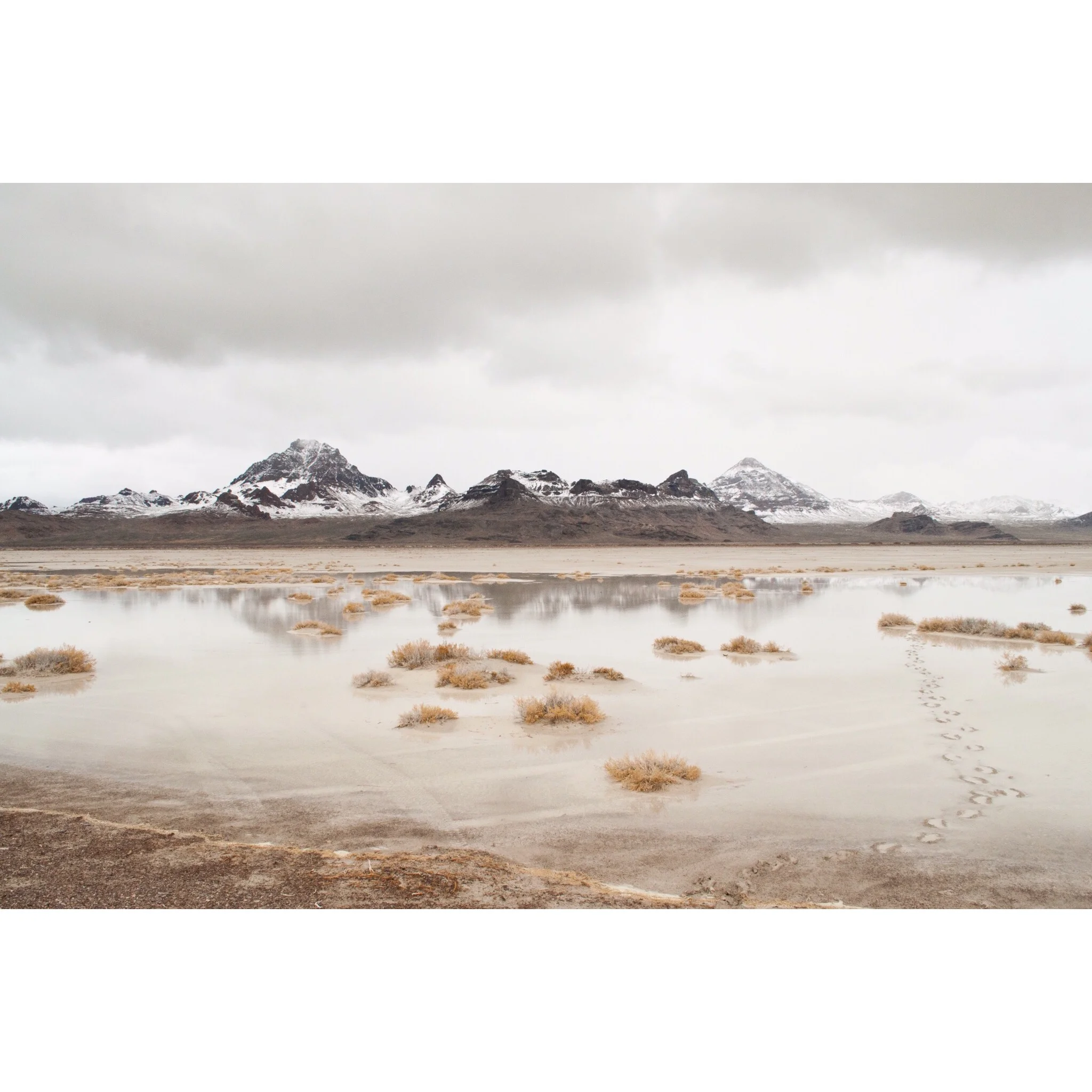 FenwickPhotoArts_4x4_PrintSale_16.jpg