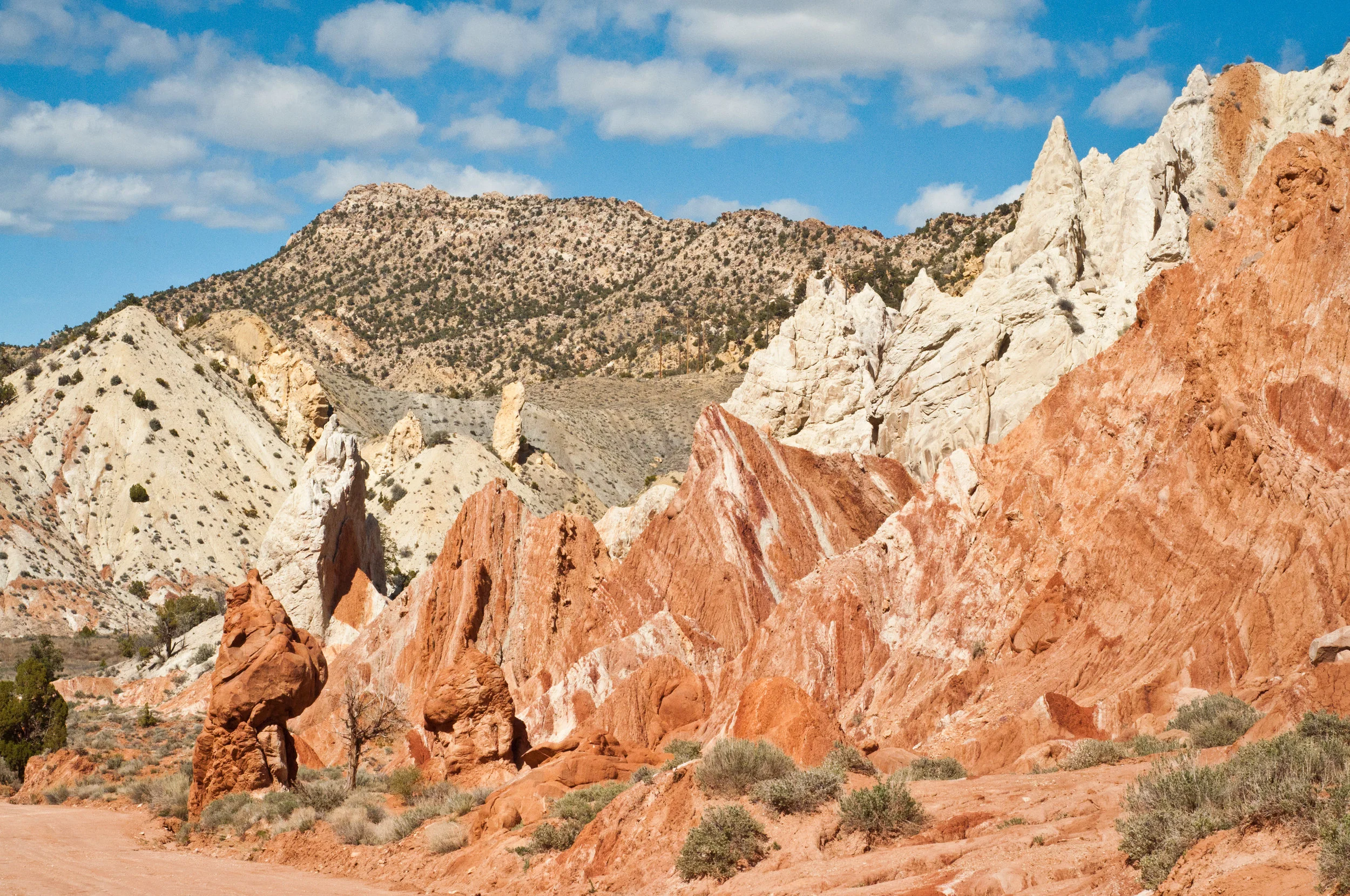 SR_Road_Trip_Wk4-19.jpg
