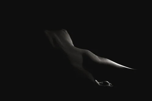 Body+Series+(2).jpg