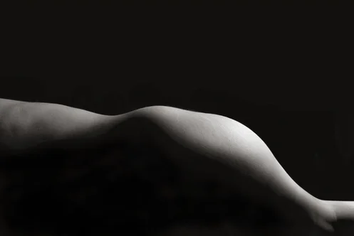 Body+Series+(5).jpg