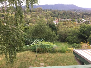 IMG_8625.jpeg
