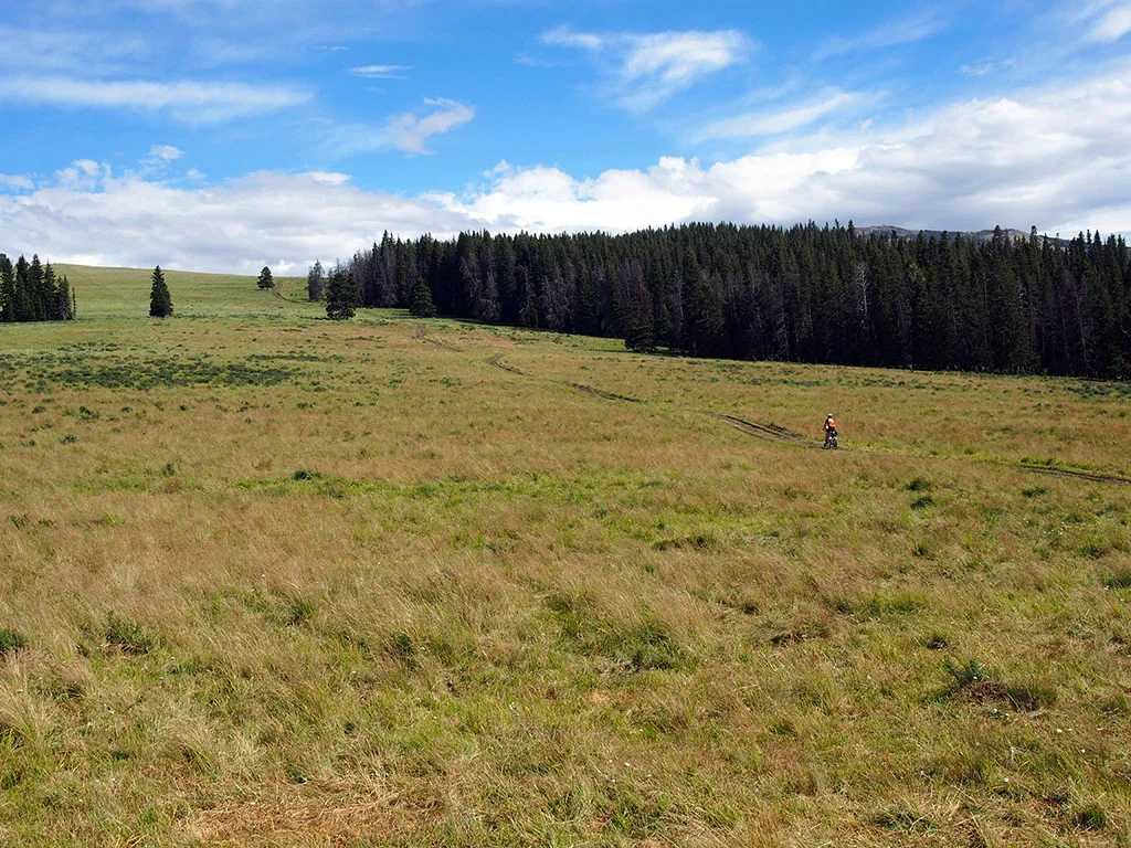 P1010139_B.jpg