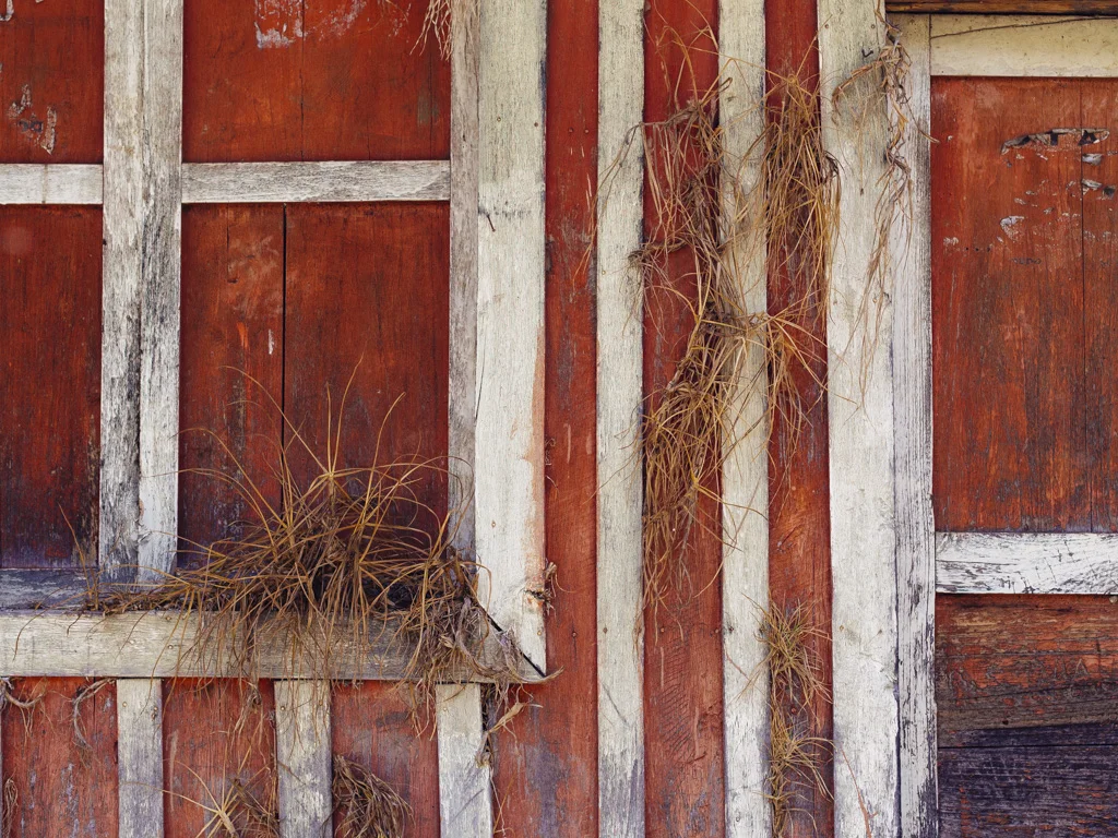 P1010004_B_fuji velvia 100F balance warm.JPG