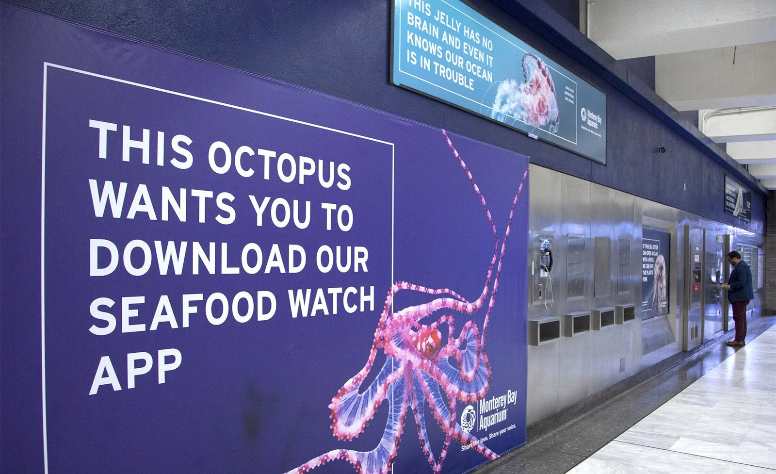 MBA_CivicCenter_Wallscape_Octopus.jpg