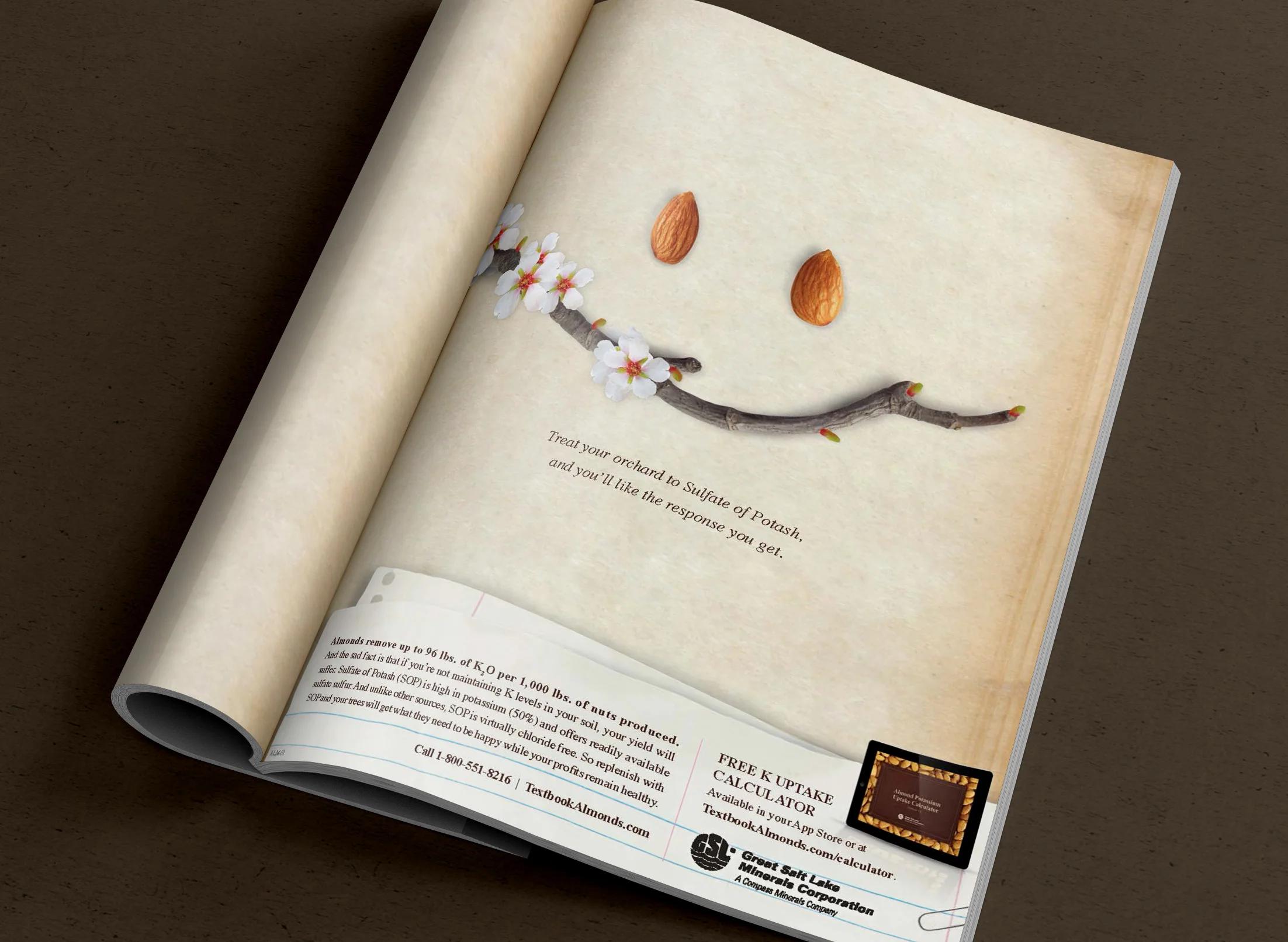 Replenish_PrintAd_Single_Almond-2.jpg