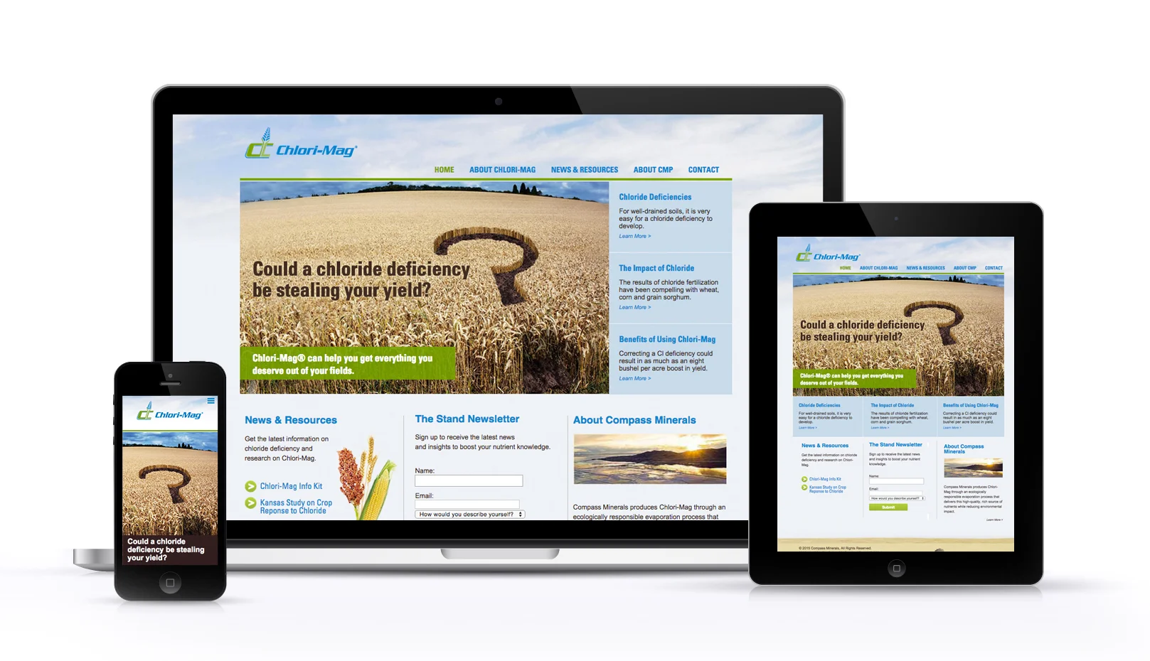 Chlori-Mag_Site_Responsive_Mockup-3.jpg