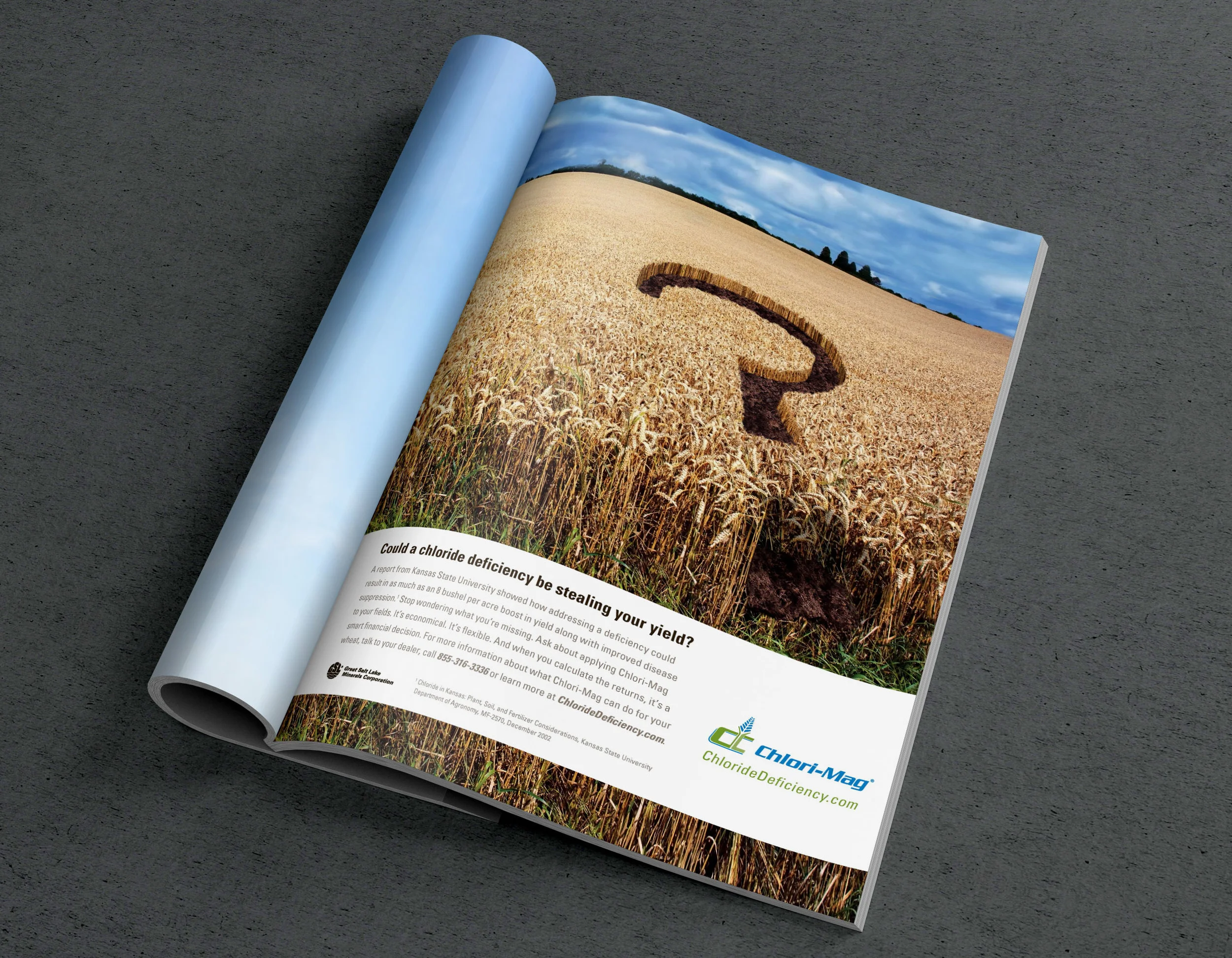 Chlori-Mag_PrintAd_Mockup-2.jpg