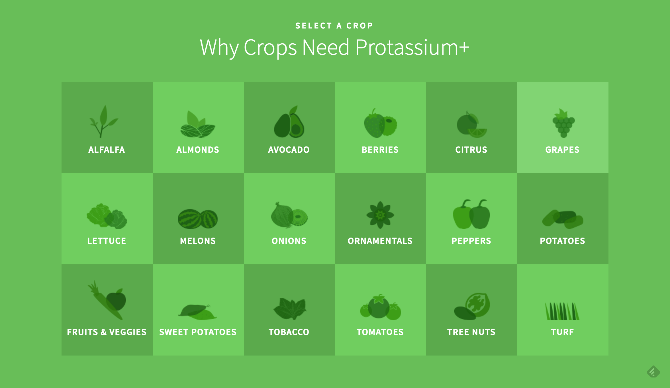 Screen Shot 2016-06-01 at 1.07.36 AM.png