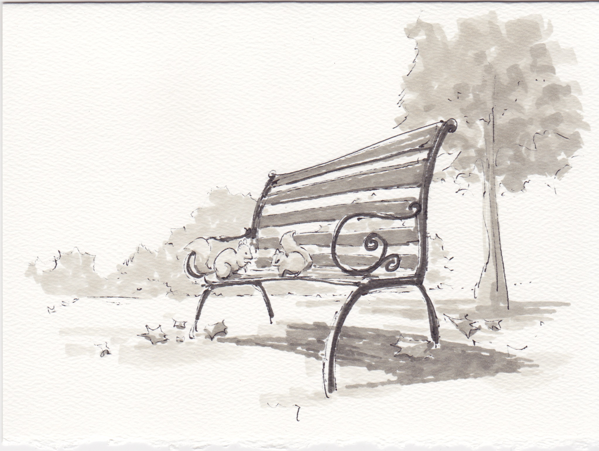 2014-12-24 - Squirrels in the Park.jpeg