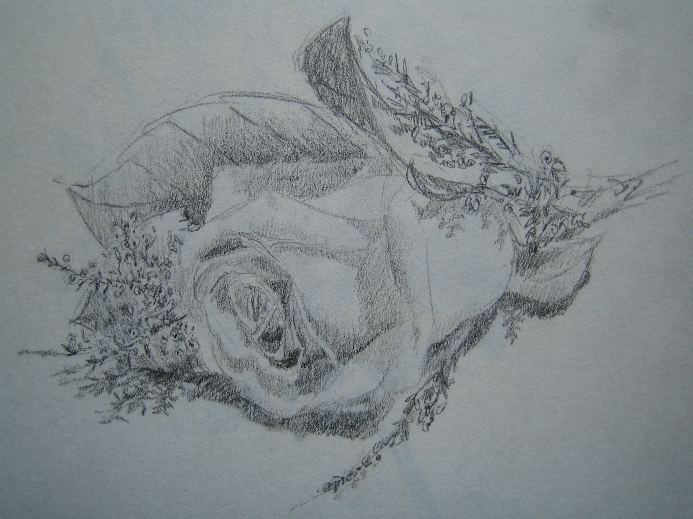 Drawing 031.jpg