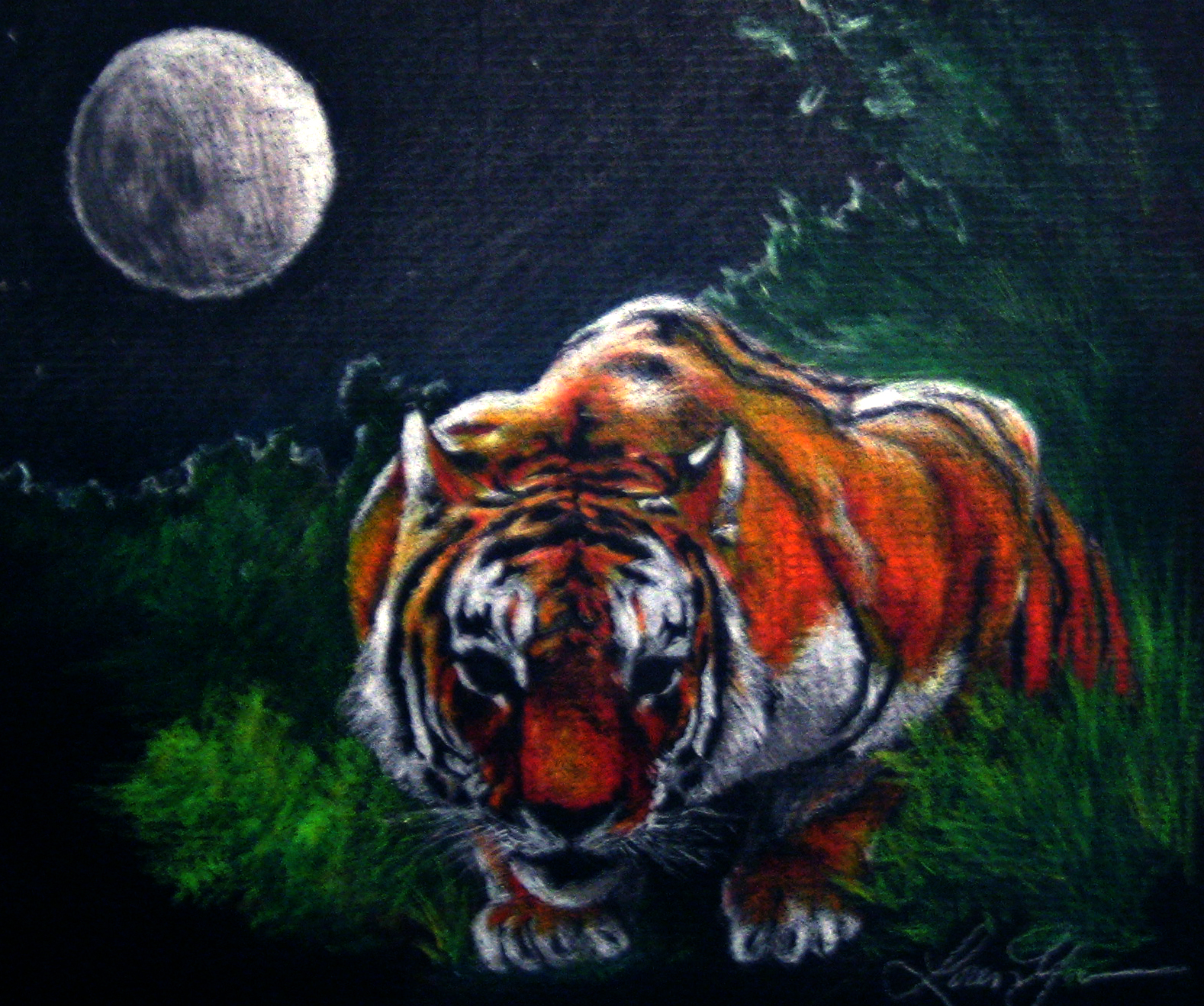 Moonlight Tiger.1.jpg