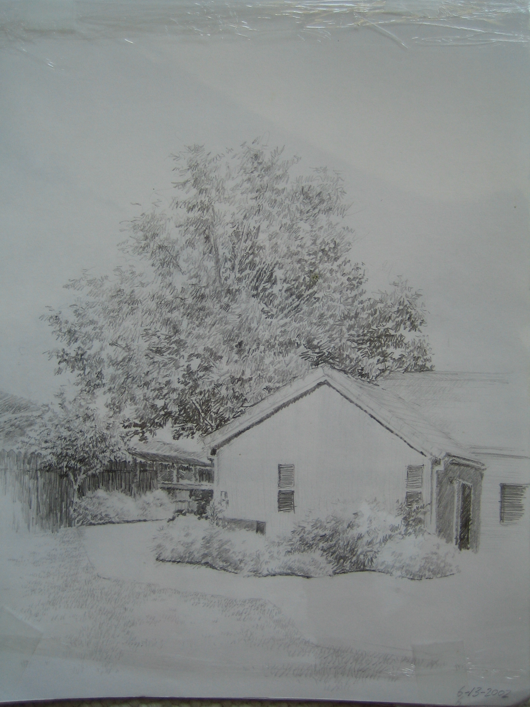 Old Backyard.jpg