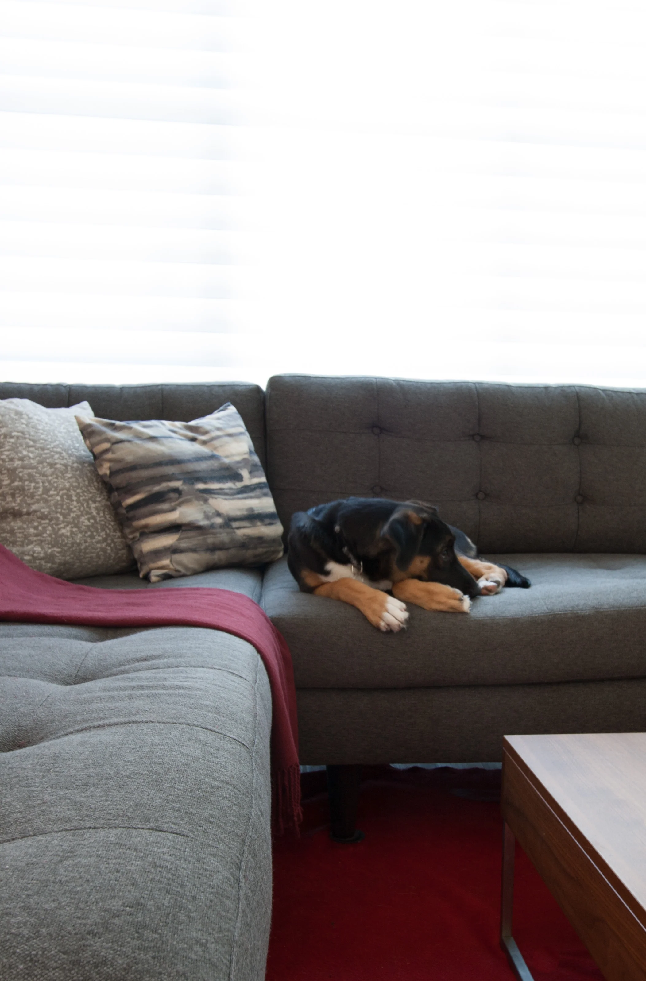 Alex Espirt Park-14.jpg