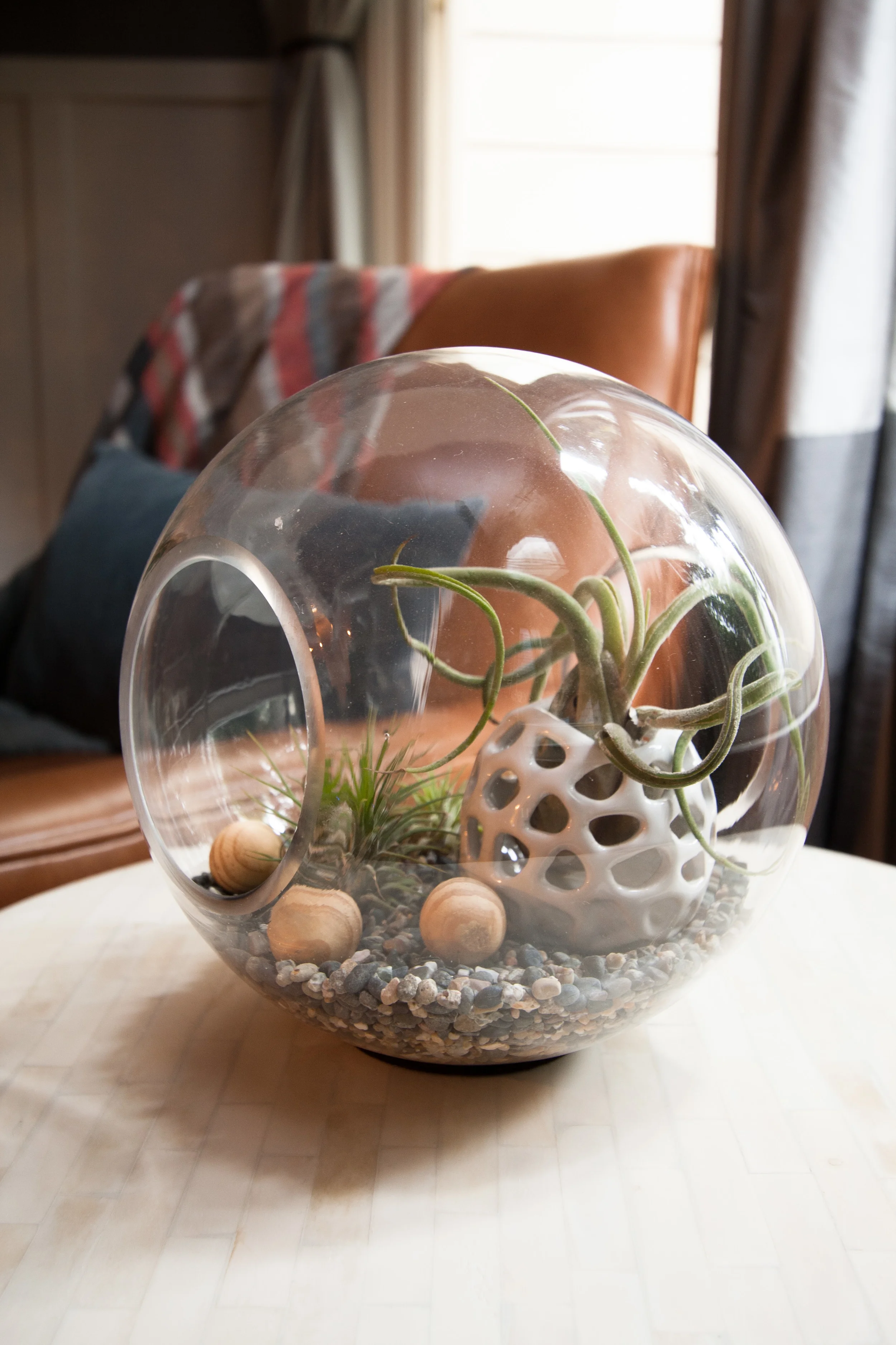 Vinnie Mission-11.jpg