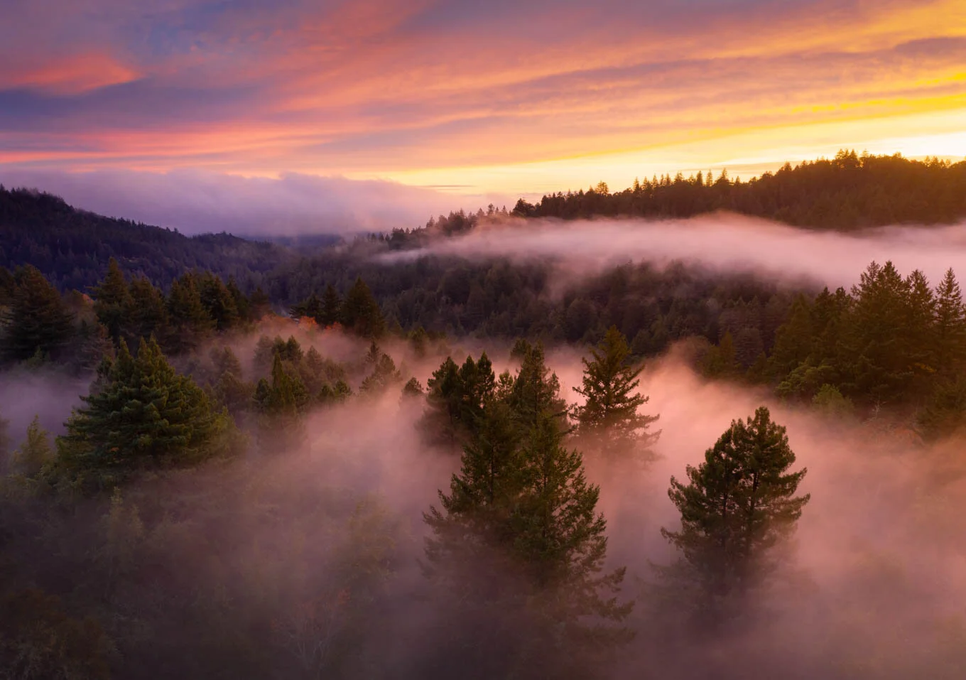DJI_0771-Edit.jpg