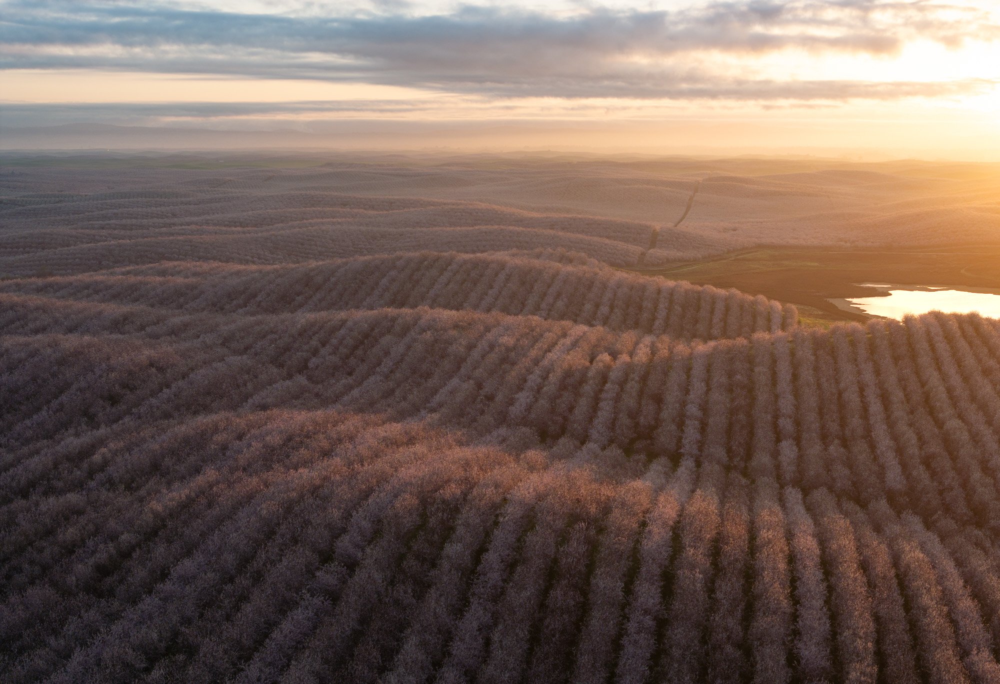 DJI_20240226173733_0465_D-Pano-2.jpg