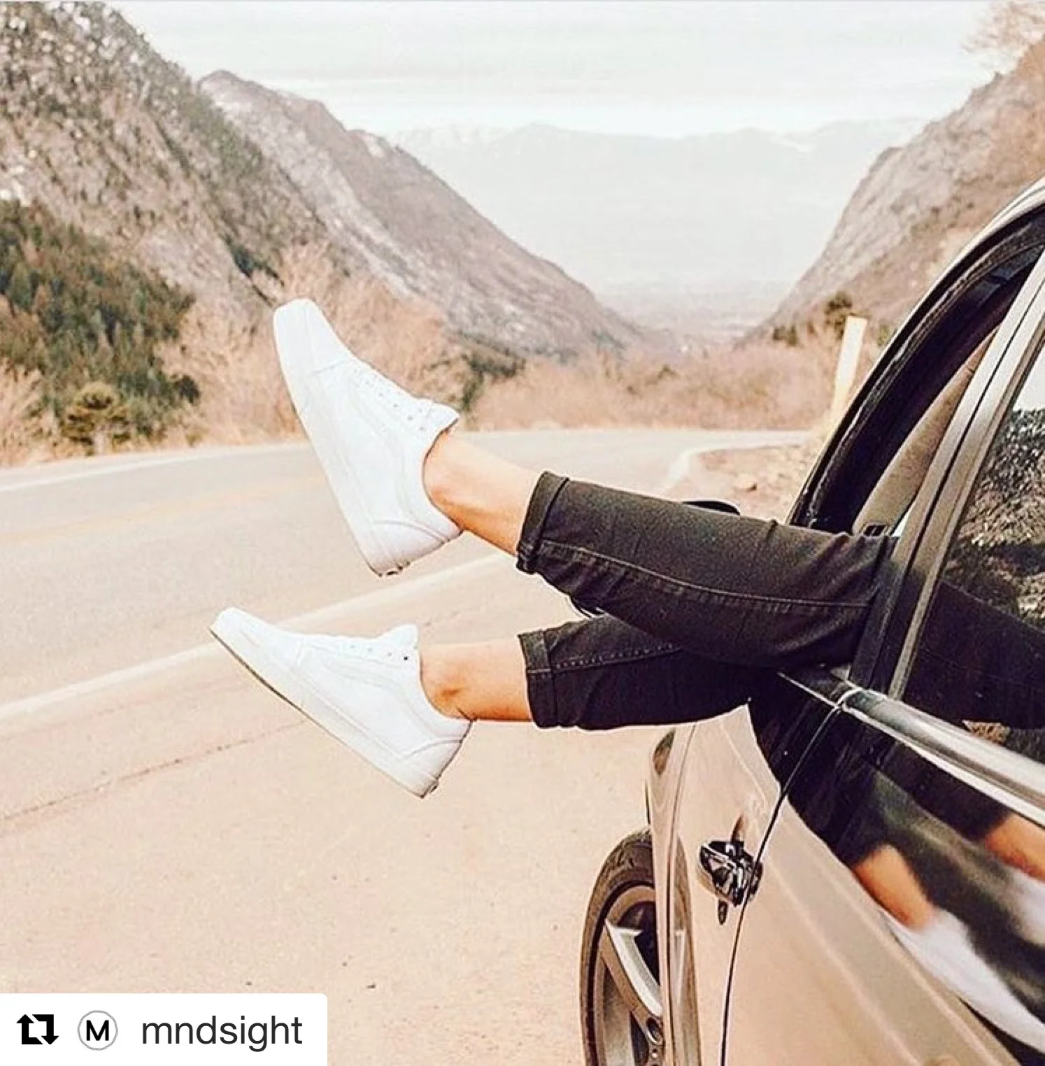 Trust, A Complicated Relationship