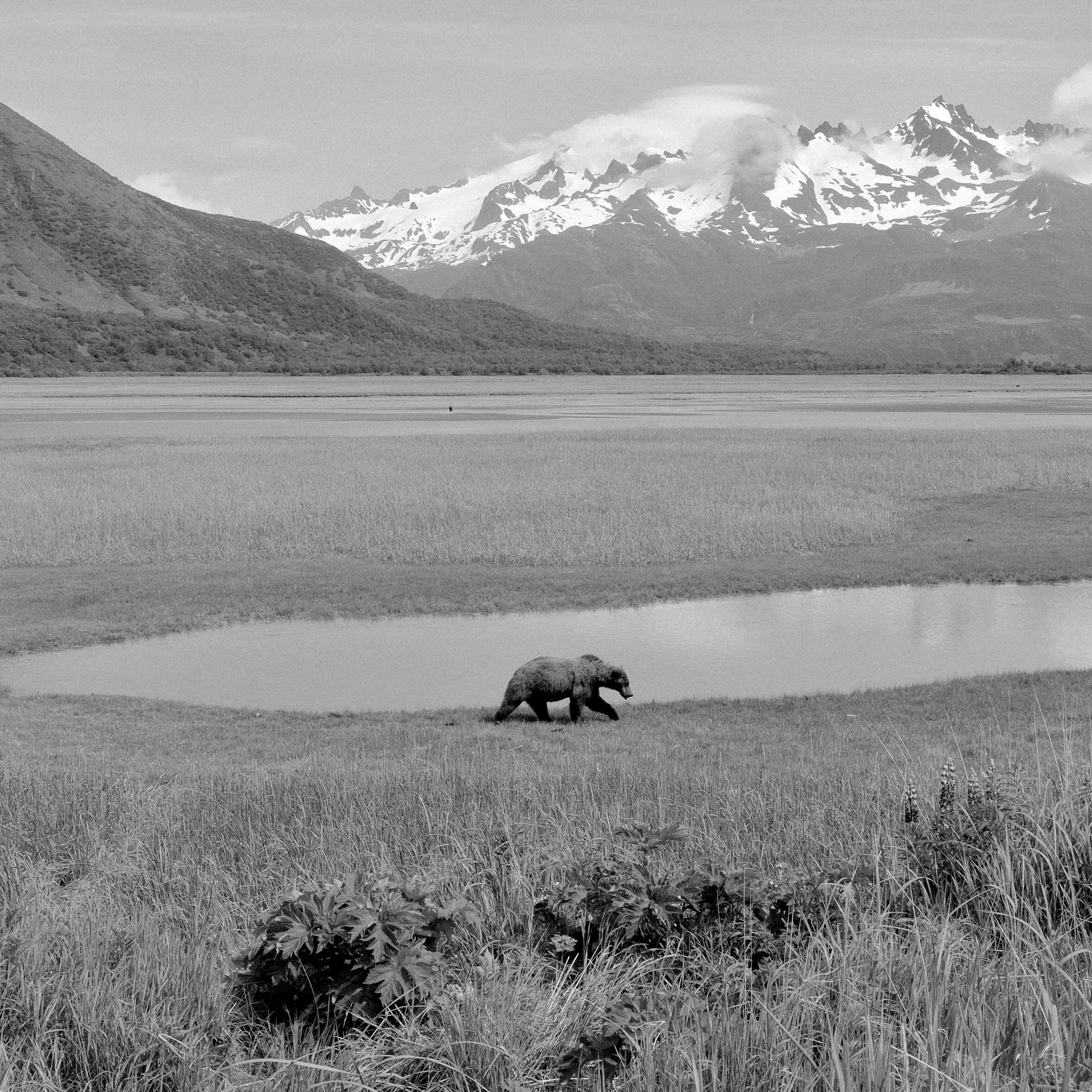 Thinking of Katmai, Alaska on this Earth Day. The most far out, untouched place I experienced during my time on the road.