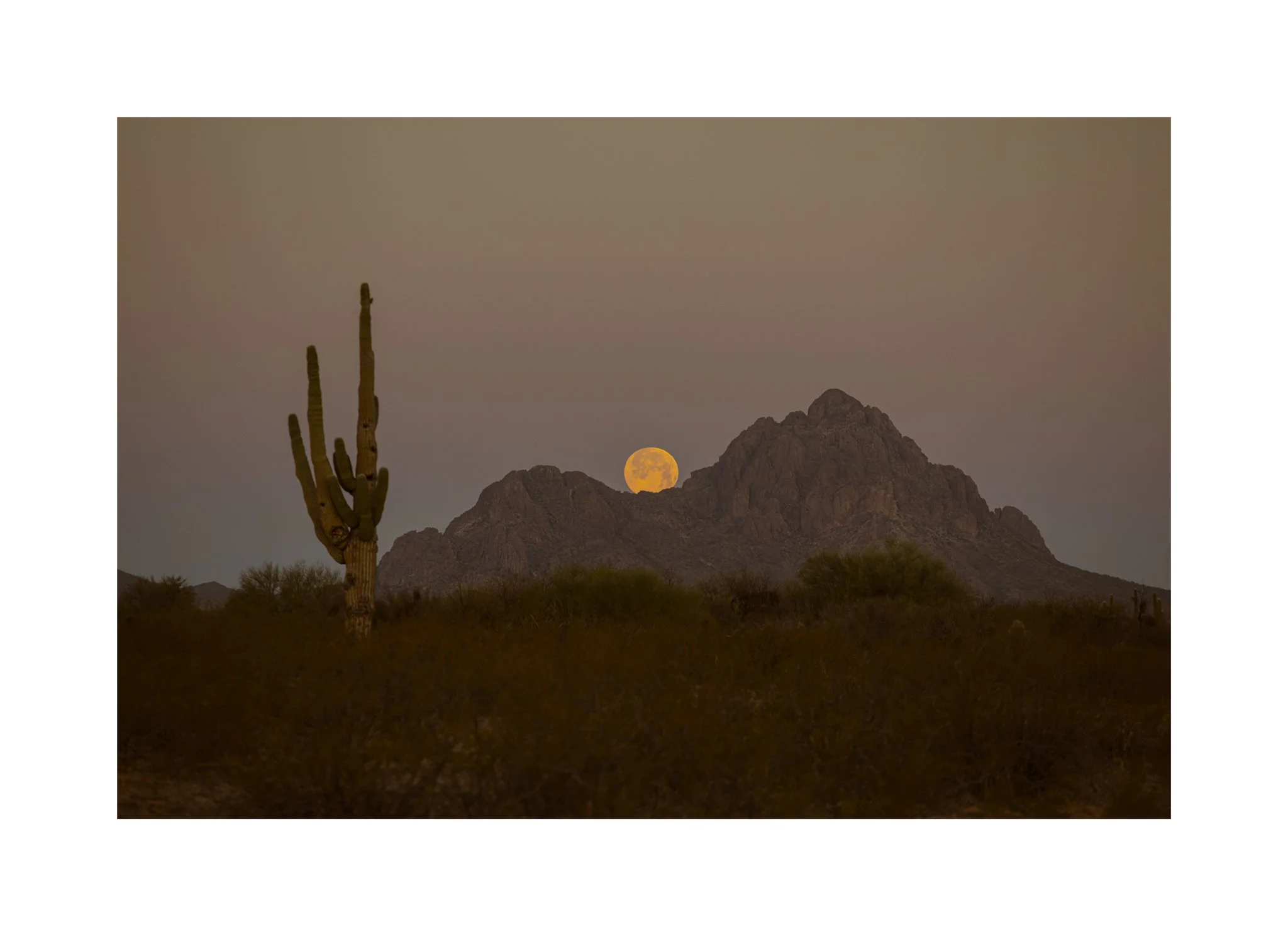LISABEGGS_DESERTMOONSET_PRINT_32x44-web.jpg
