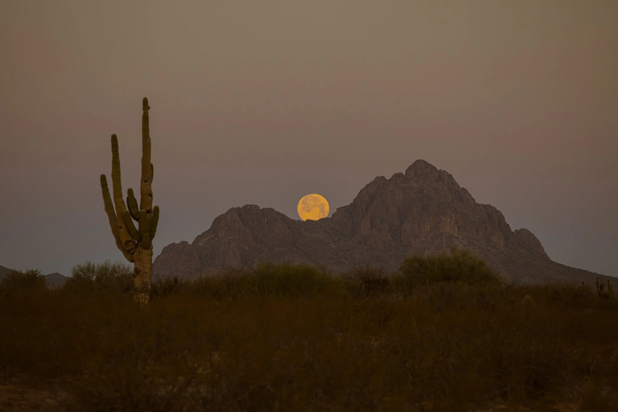 LISABEGGS_DESERTMOONSET_PRINT_24x36-web.jpg