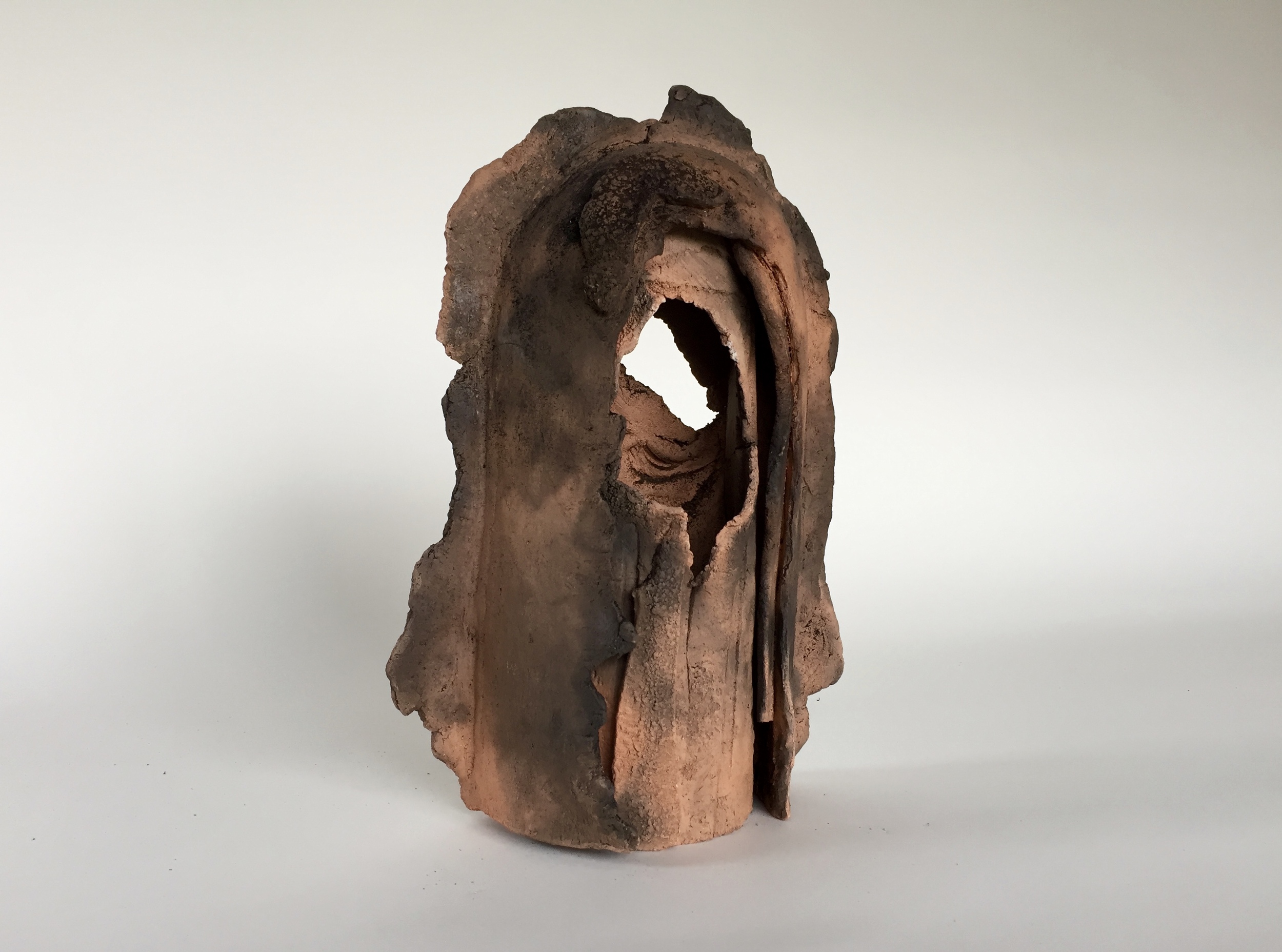 Large Portal 2015 (back)