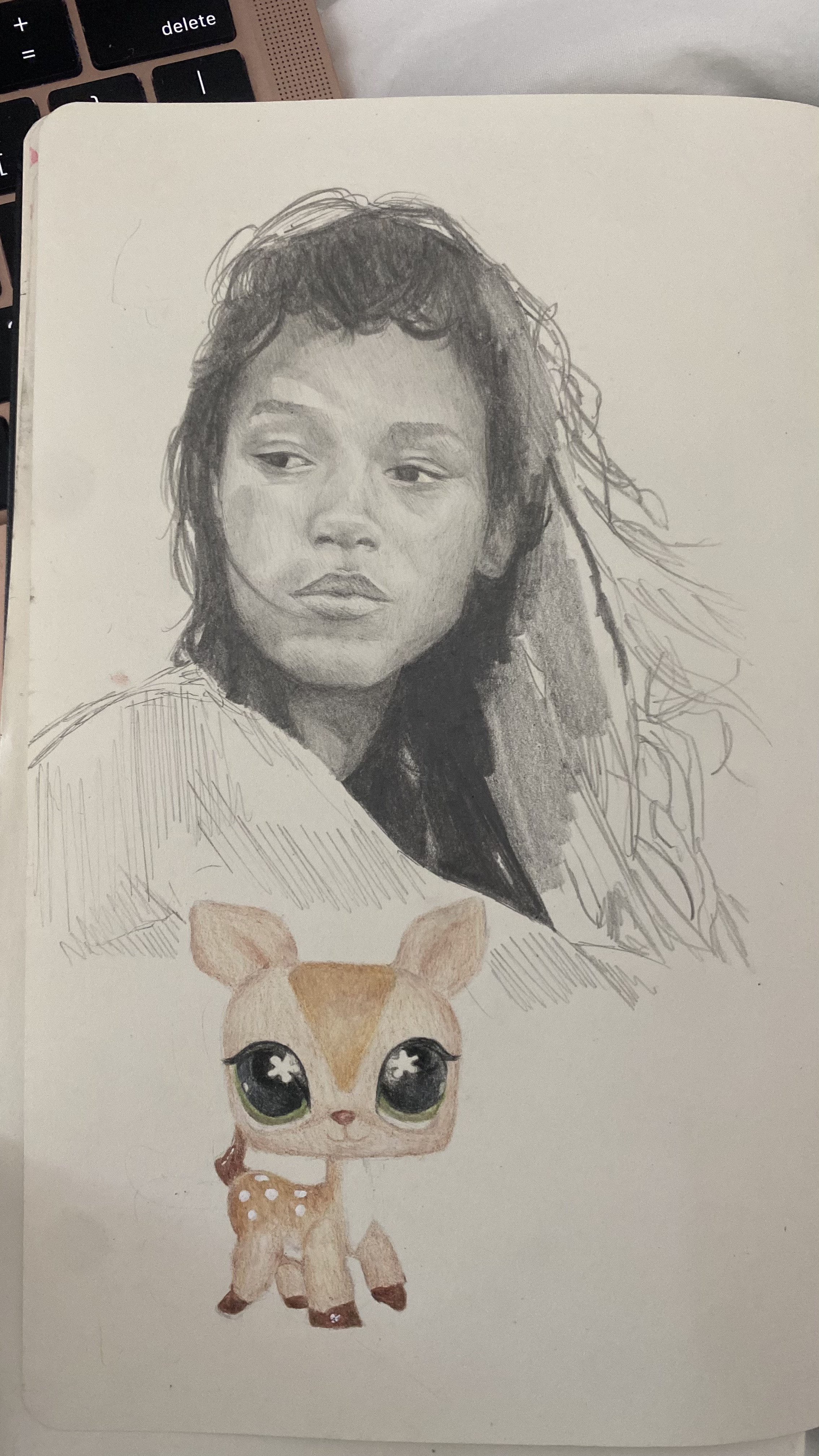 IMG_1550.jpg