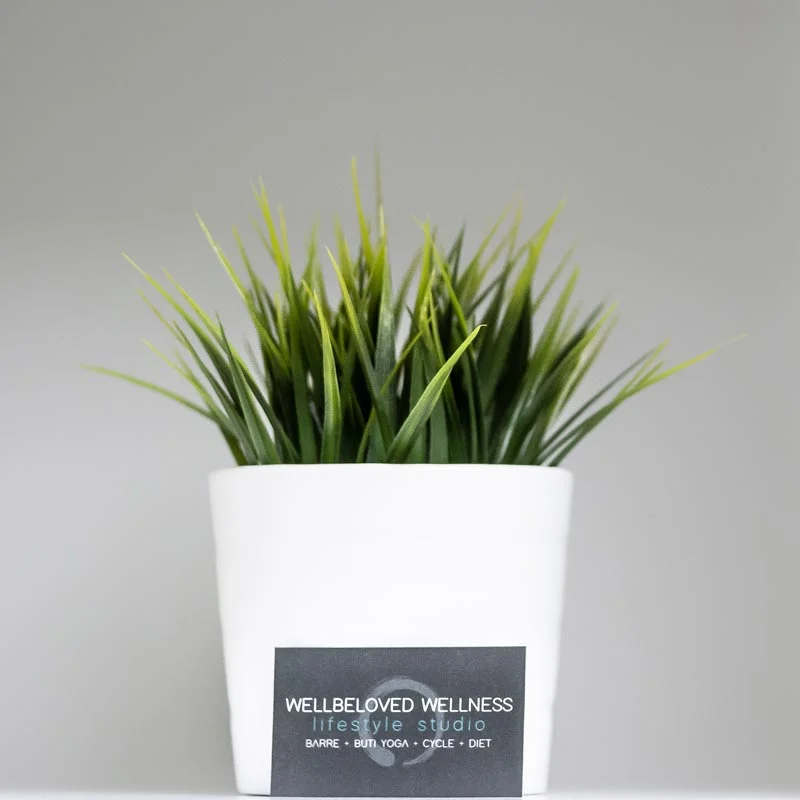 Wellbeloved-Wellness-Cape-Cod-Contact-Us.jpg
