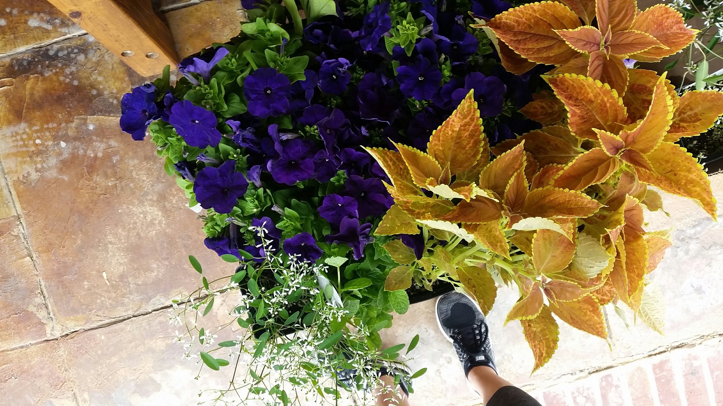 2017-04-30 02.09.37 1.jpg