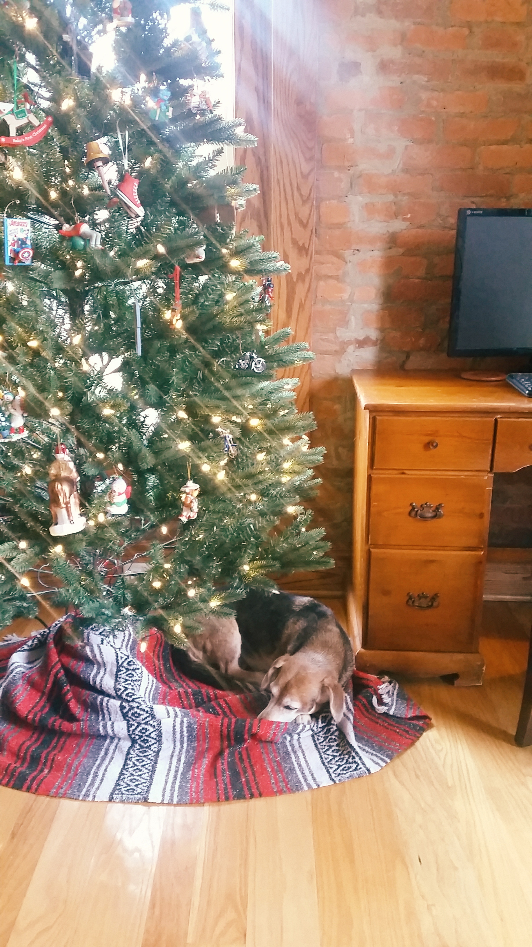 2017-12-15 08.25.56 3.jpg