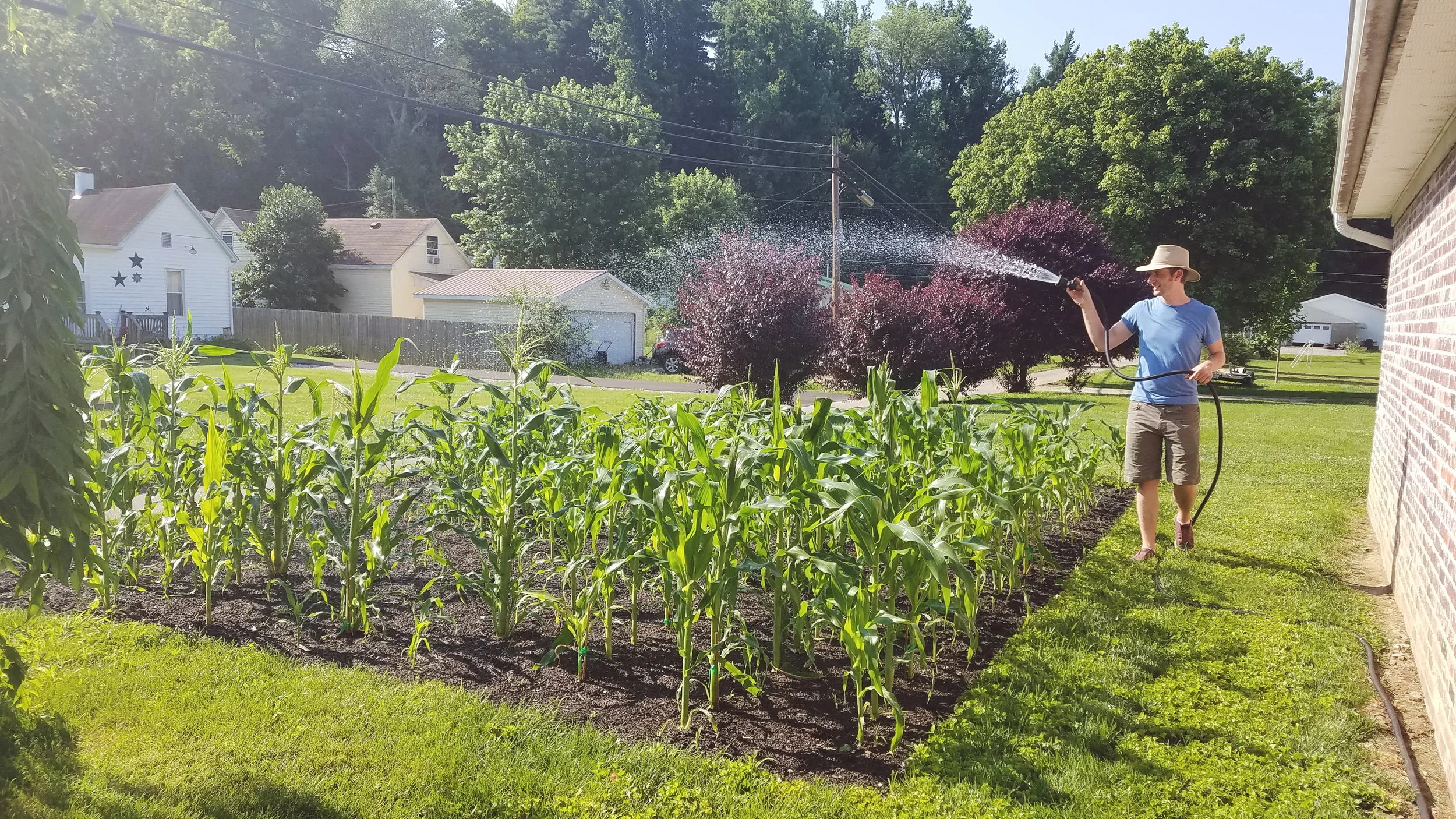 2019-06-29 07.58.56 2.jpg