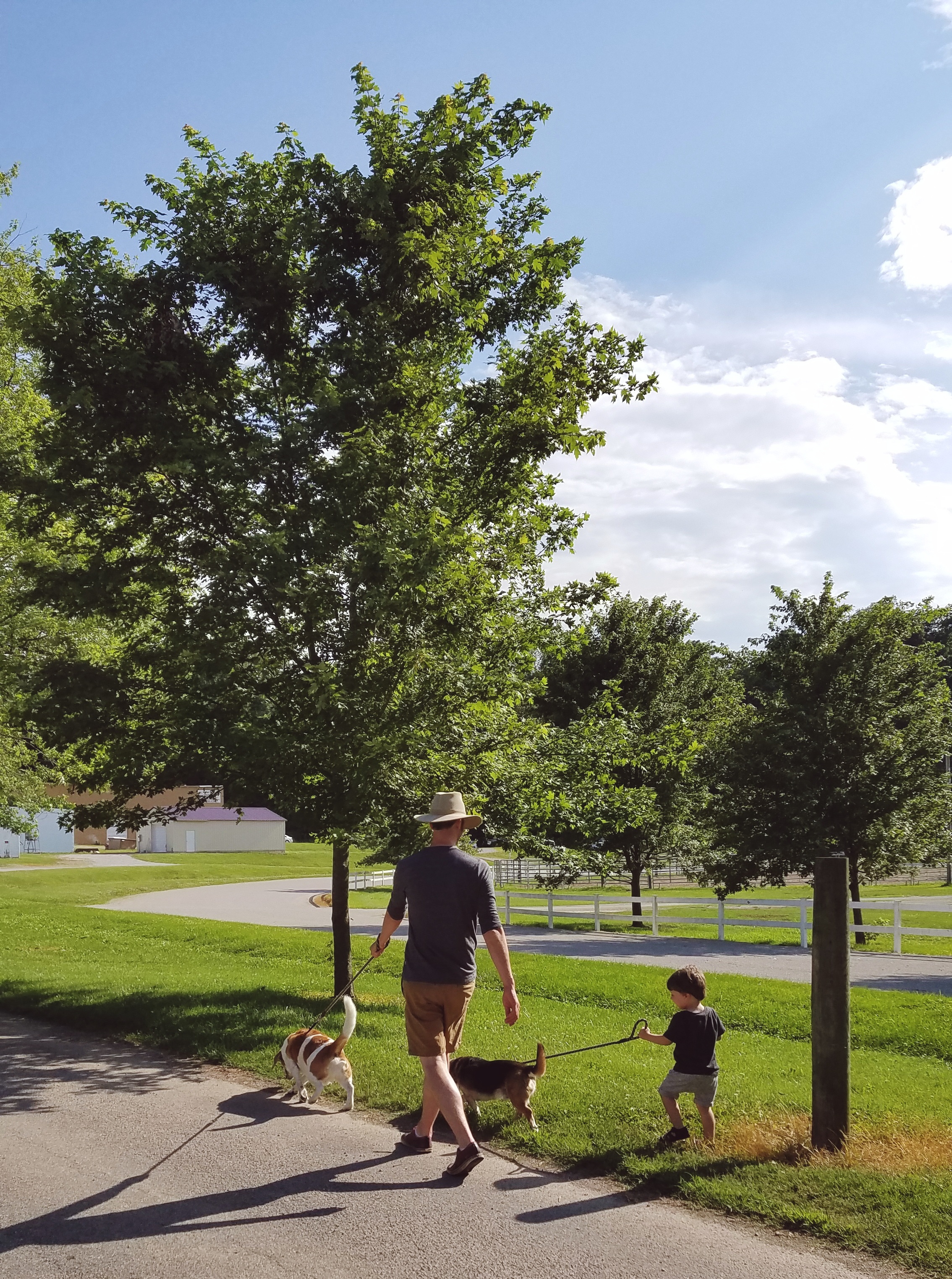 2019-07-05+07.49.00+1.jpg