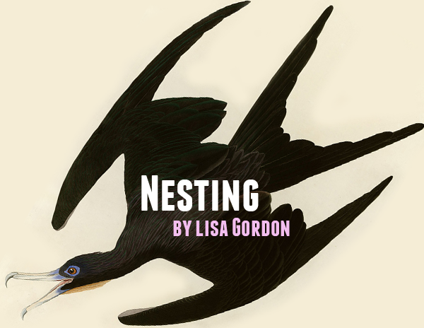 nesting.png