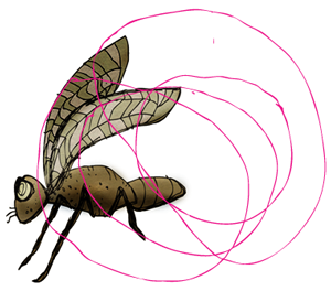 plumb-fly2.png