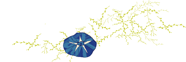 flowers2-pq5.png