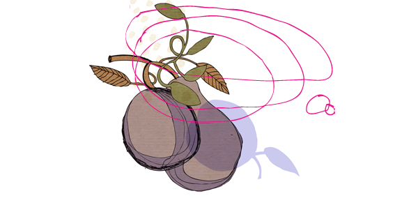 plumnb-last.png