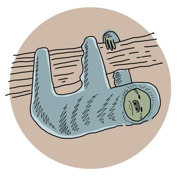 sloth1.png