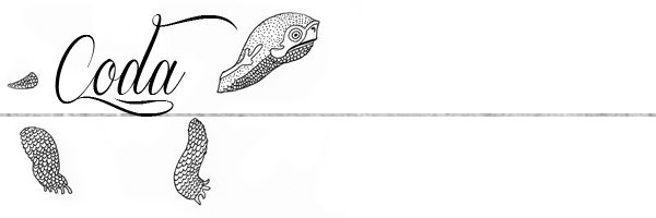 coda.png
