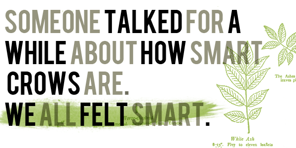 we-all-felt-smart.png