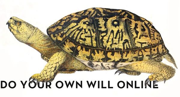 Animal-Reptile-Turtle-2Fvb.png