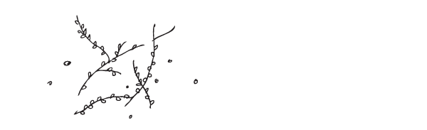 vine2_02.png