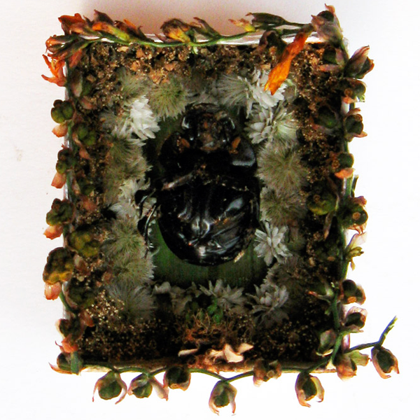 beetle.png