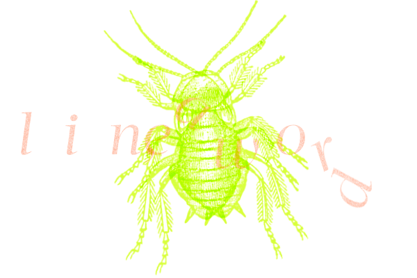 LINE-WORD.png