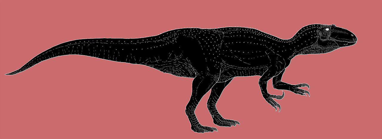 Megaraptor