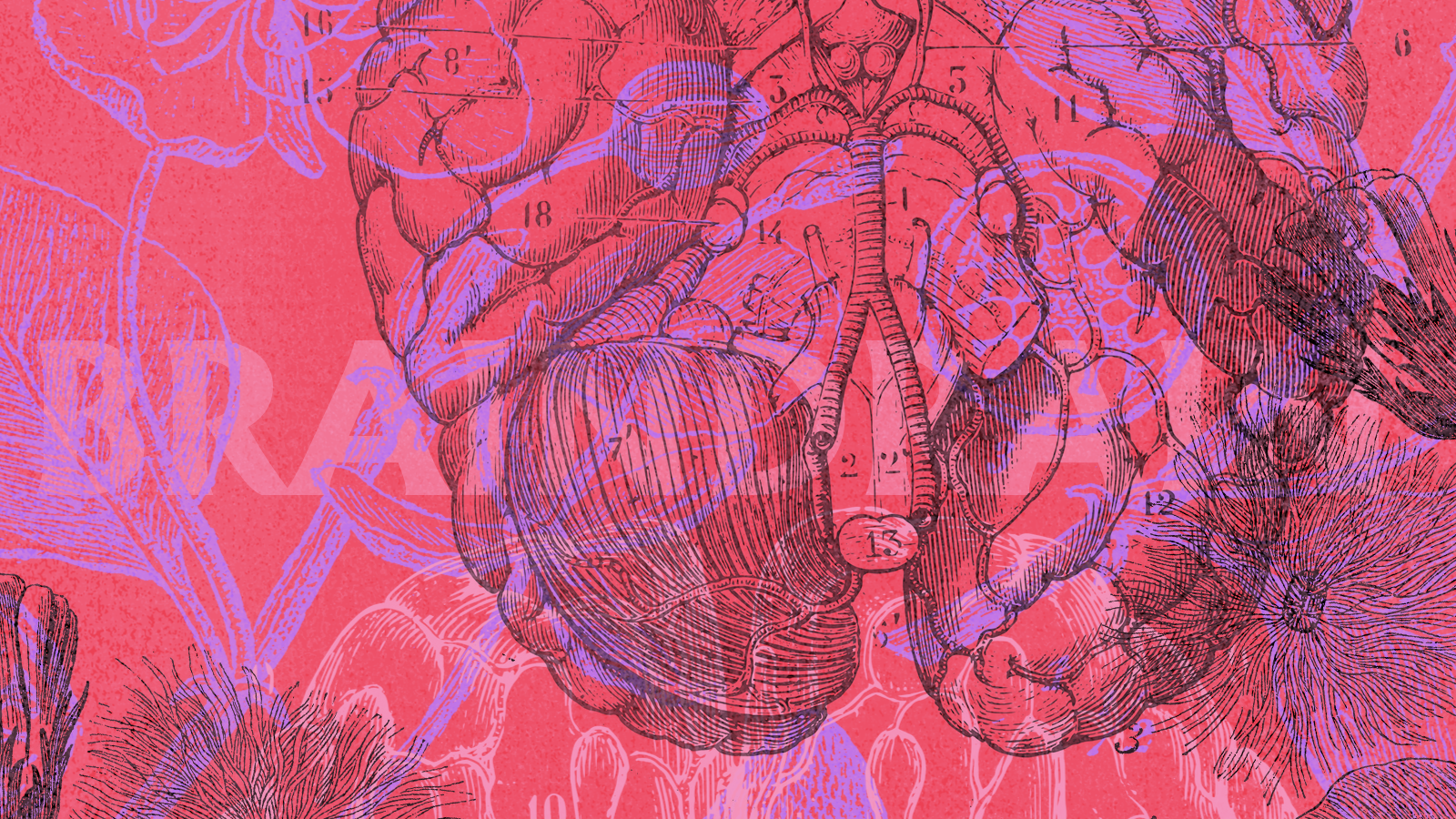 braindrain1.png