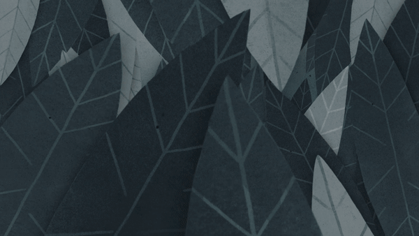 The+Furrow_Collab.gif