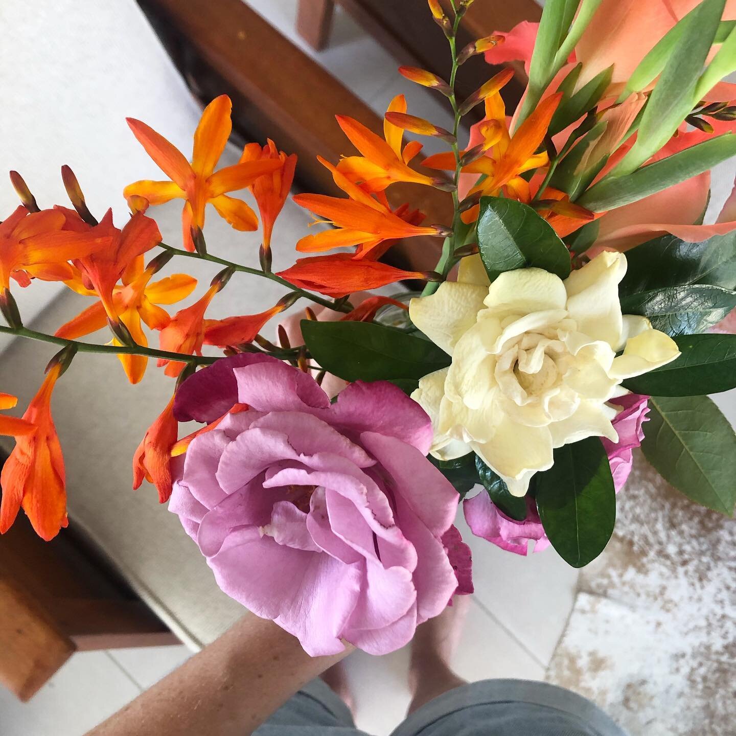 Handpicked beauties 🧡💜