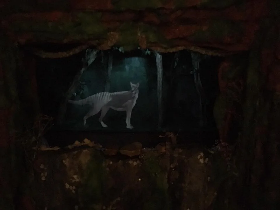 Tiger Hologram by Darryl Rogers.jpg