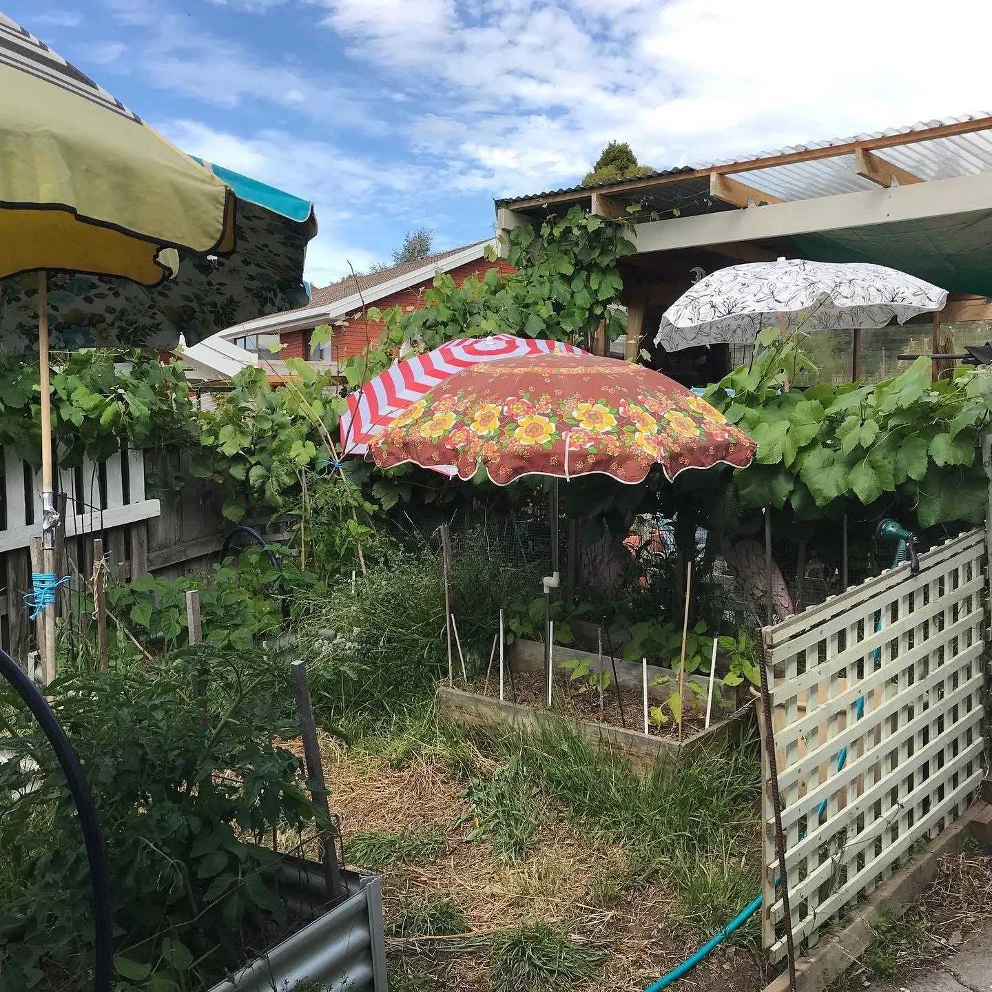 Time in the garden; perfect opportunity to unplug