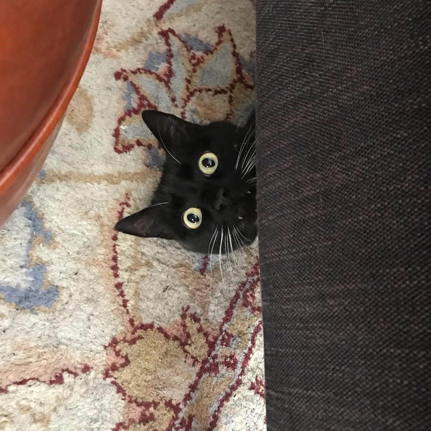 IMG_1631.jpeg
