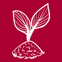 Kopfhoerer_Seminare_200x200.png